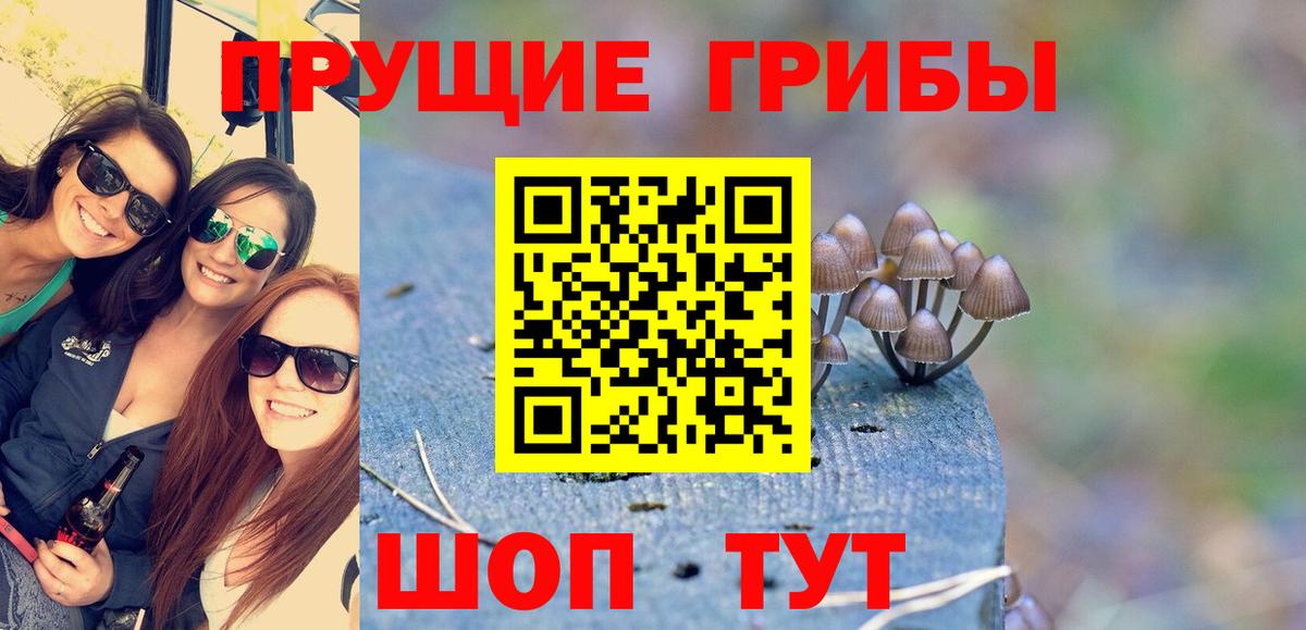 Псилоцибиновые грибы Magic Shrooms Коряжма